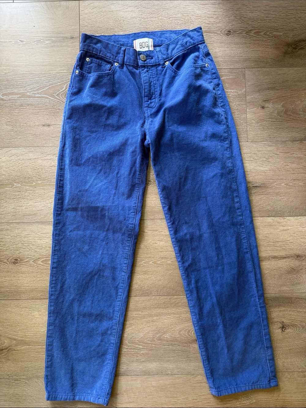 BDG Pegged Cowboy Corduroy Pants in Cornflower Blue